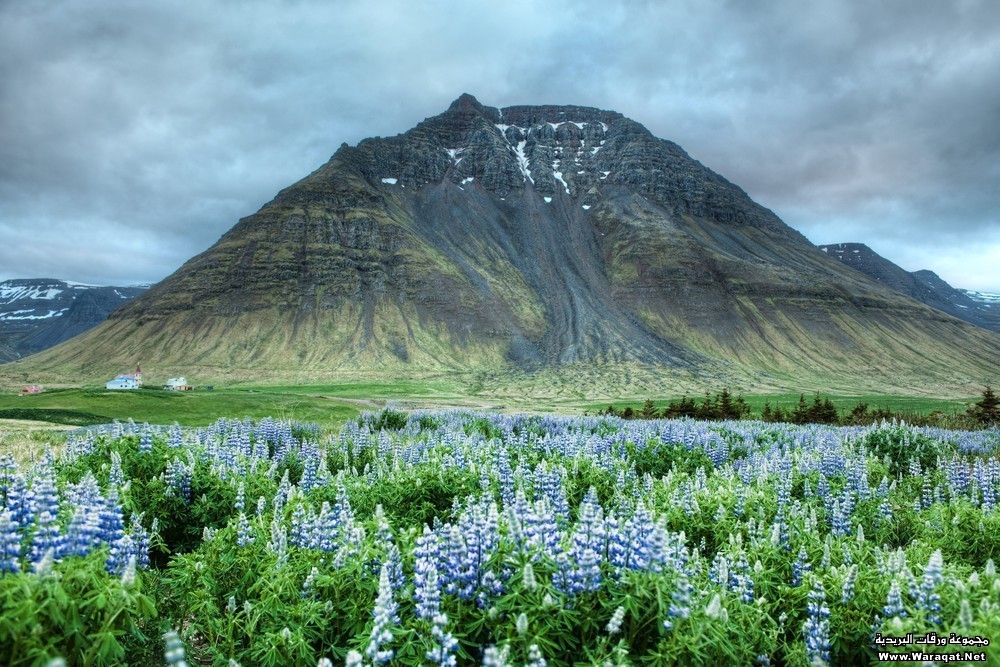 حقيقة وليس خيال .. آيسلندا الساحرة .. جمال الطبيعة يتجسد ..!! الجزء الأول Iceland6