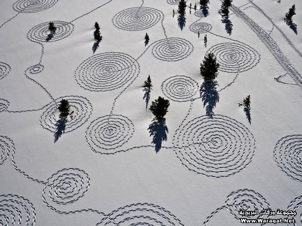 بداعات من هنا وهناك / صور Land-art-nature-12