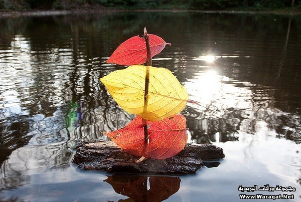 بداعات من هنا وهناك / صور Land-art-nature-2