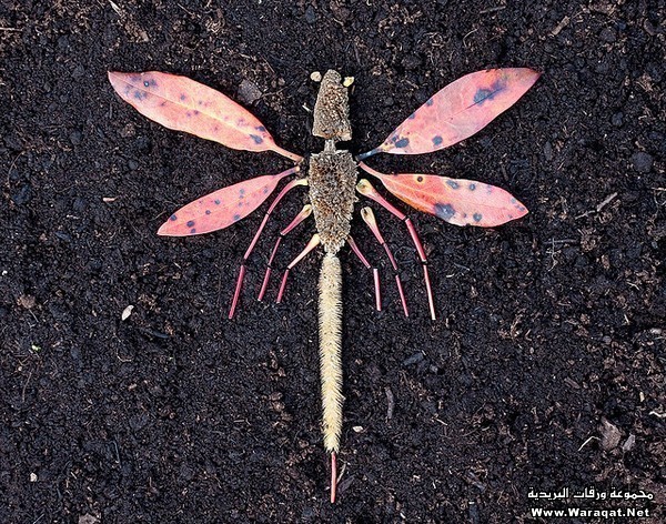 بداعات من هنا وهناك / صور Land-art-nature-3