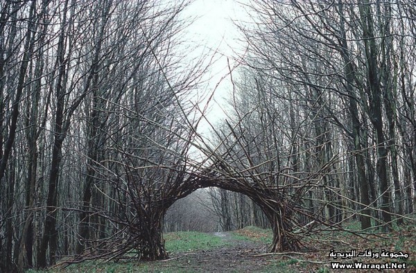 بداعات من هنا وهناك / صور Land-art-nature-9