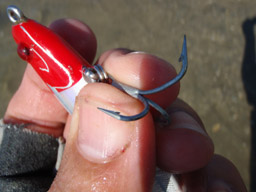 Forma utilizar las pinzas para quitar anzuelos triples de la boca del pez por José Manuel López Pinto Fishing_hook_bent_by_strong_jack_01