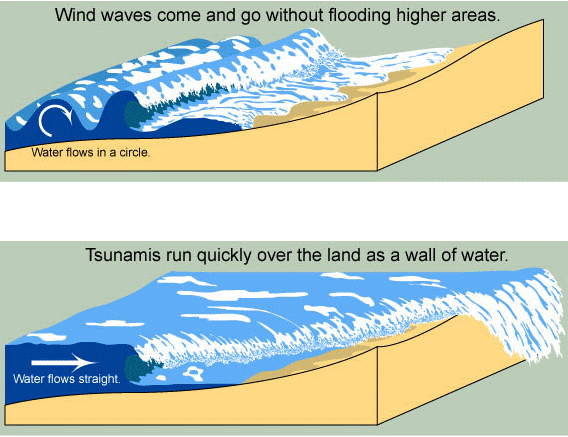 Tsunamis*(: Tsunami1