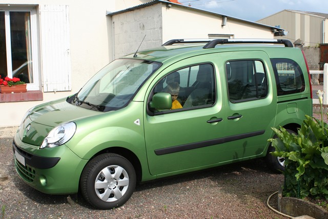 2007/13 - [Renault] Kangoo II [X61] - Page 24 Kangoo1