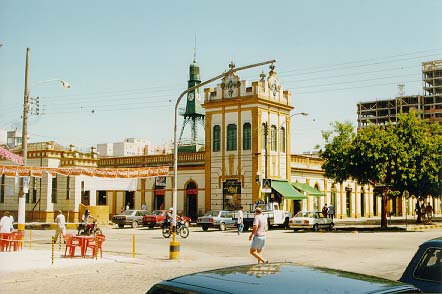 A Sua Cidade Pelotas2