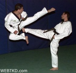 le tae kwon do Hist_pic