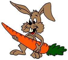 Kikiriki supa Bunny-with-carrot