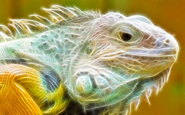 image + tag Iguane-fractal-720px