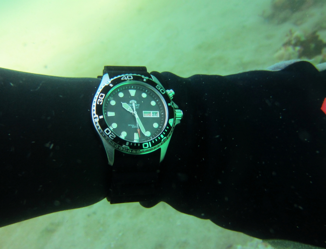 Sunday Dive: 24-03-2013 - Kwinana - Orient Ray Kwinana%20Grain%20Jetty%2024-03-2013%20Orient%201