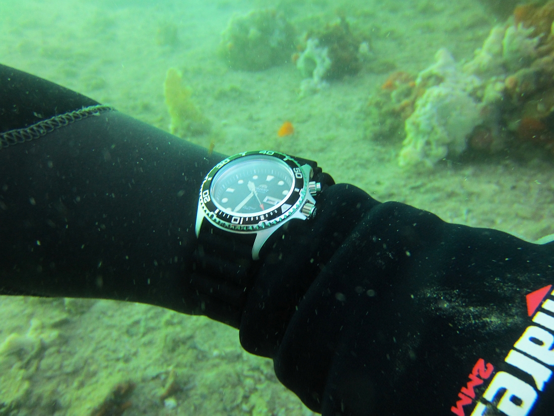 Sunday Dive: 24-03-2013 - Kwinana - Orient Ray Kwinana%20Grain%20Jetty%2024-03-2013%20Orient%202