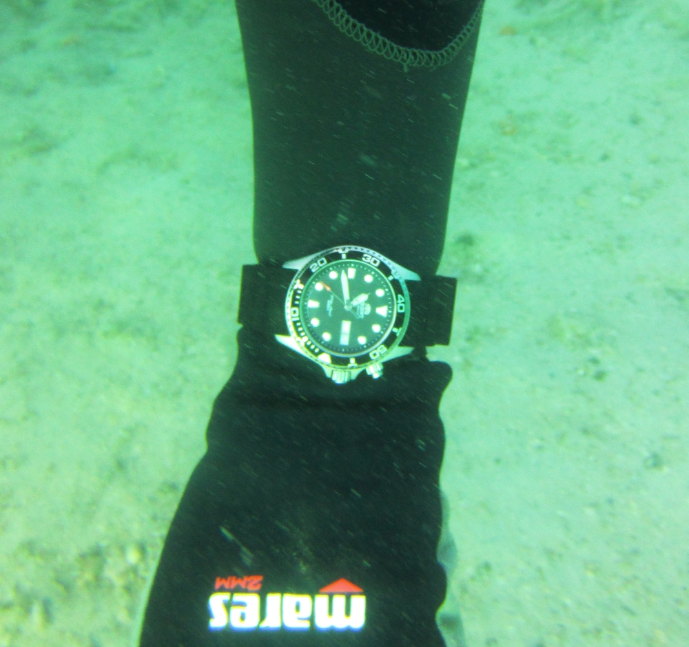 Sunday Dive: 24-03-2013 - Kwinana - Orient Ray Kwinana%20Grain%20Jetty%2024-03-2013%20Orient%203