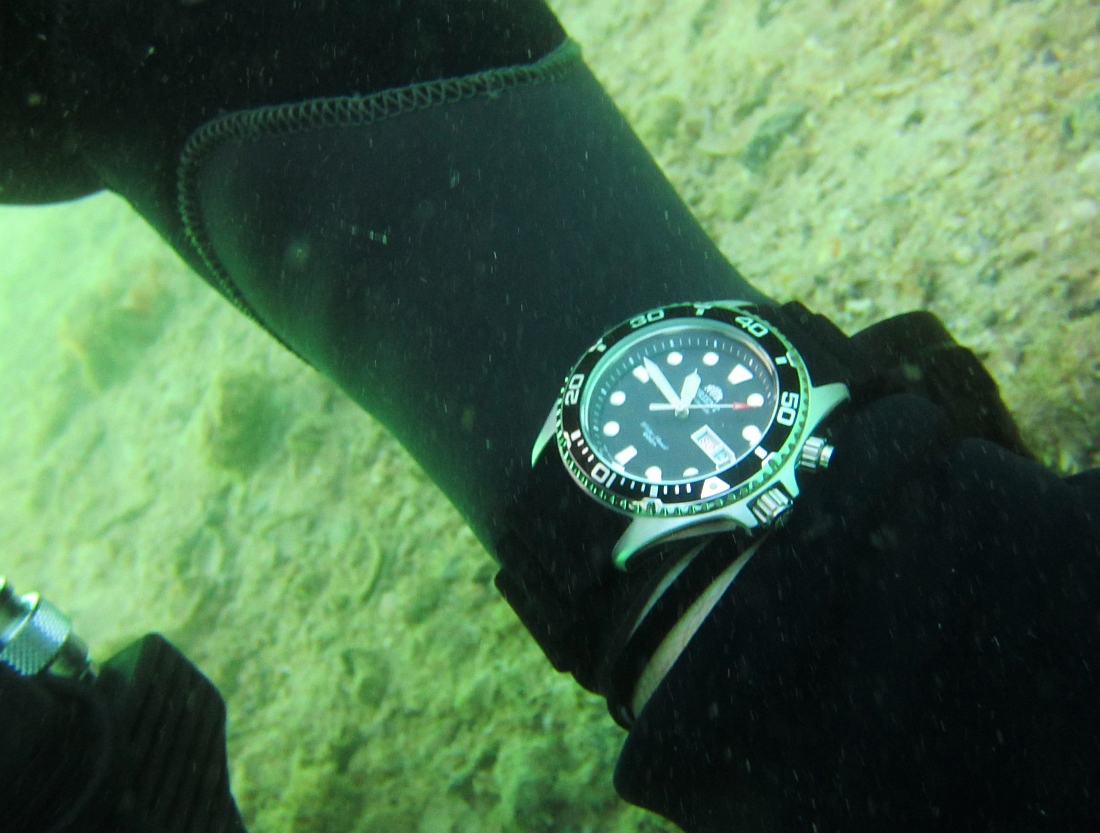 Sunday Dive: 24-03-2013 - Kwinana - Orient Ray Kwinana%20Grain%20Jetty%2024-03-2013%20Orient%204