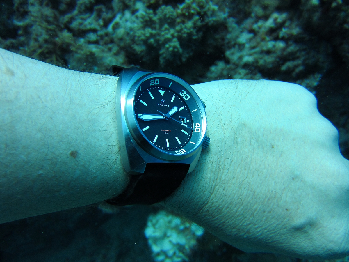 Sinn U1 in the Big Blue Halios%20Laguna%20Cairns%2004-10-11%204