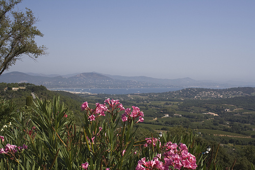 Sortie Varoise le samedi 21 Mai 3884282767-Golfe-de-St-Tropez-p