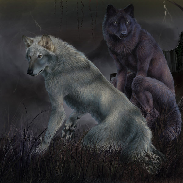 Lunar Wolf Tribe- Approved Pictures and Species Change