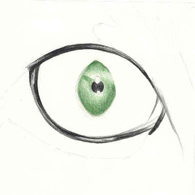 Kaizu Eye... Cats_eye_tutorial_2