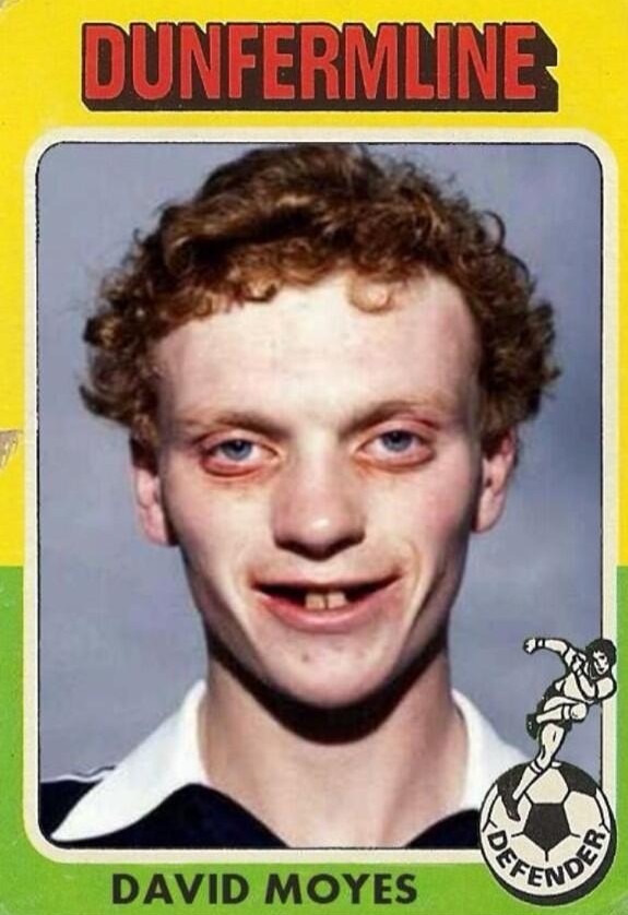 Jel' ovo OK? - Page 30 Moyes-panini-e1382779047131