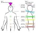 Equilibrando los Chakras CAY3WPEJ