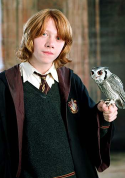 Imagenes con Texto!! 250px-Ronweasley1