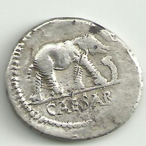 Denario Imperatorial de Julio Cesar (Elefante) 447108223