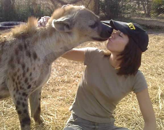 Le 16-17 et 18 juillet.....enfin du vent annoncé Hyena-tame