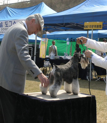 AKU INTERNATIONAL DOG SHOW - Group 1 Regend_9_months_1_