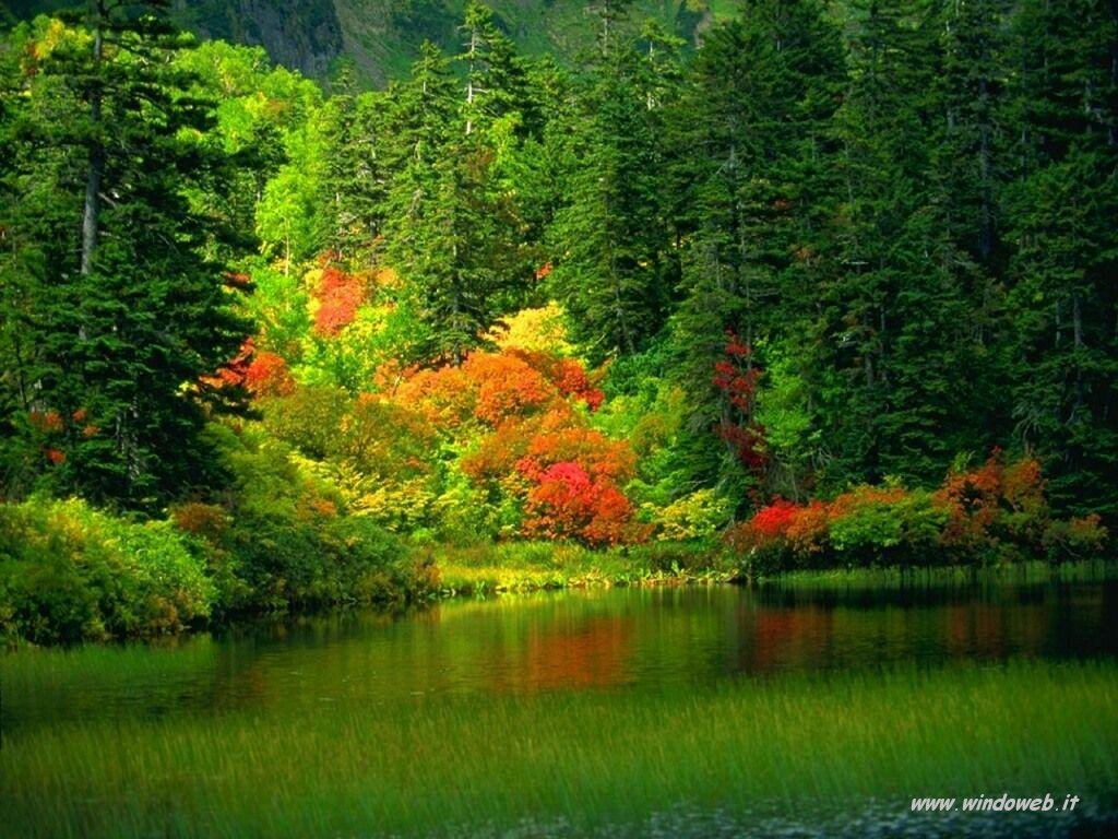 QUANT'E' BELLA LA NATURA !!! Foto_autunno_323