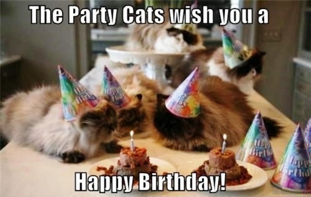 Hi I'm Brookeham - Page 8 The-Party-Cats-Wish-You-A-Happy-Birthday