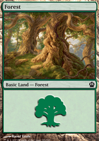 ETAPE n°2 : Les différents types de Carte Magic : Forest