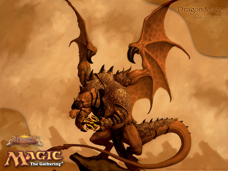 Carte de membre Wallpaper_DragonMage_800x600