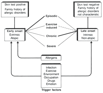 الربو (asthma) Asthma