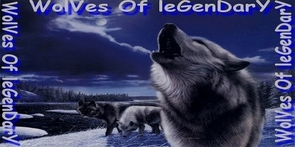 Bonjour !Alliance WolVes Of leGenDary  est ici :) 2481