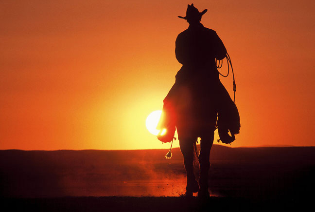 DeLaRose A Story of Dragons Cowboy-sunset