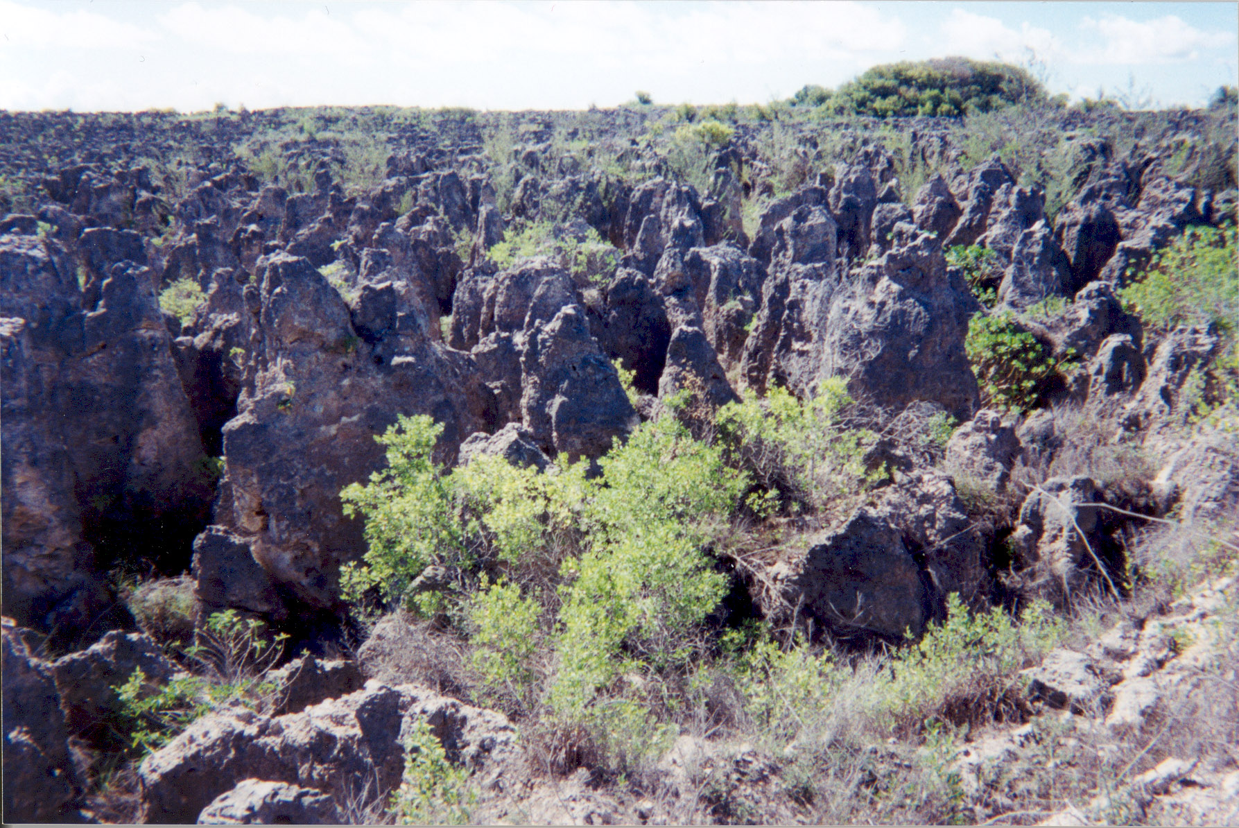 Zaboravljene destinacije Phosphate-Minning-Nauru-Island