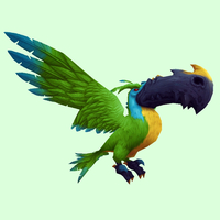 Hunter Pets Update WOD Toucan_color04