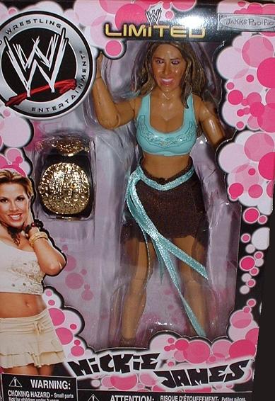 Mickie James 4166_figure1