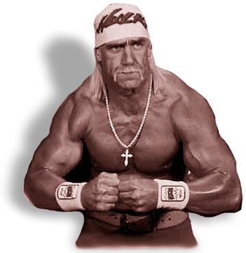      Hulk Hogan Hulkhogan