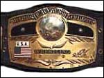 !!! E-fed TNA Champions !!! Nwa