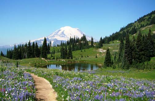 Mt. Rainier - Sunrise Park - August 27th Naches%20Peak%20Loop%20C%20Kelbert