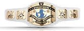 WWE Ceintures 20140811_belts_IC