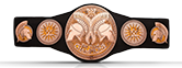 WWE Ceintures 20140811_belts_tag_0