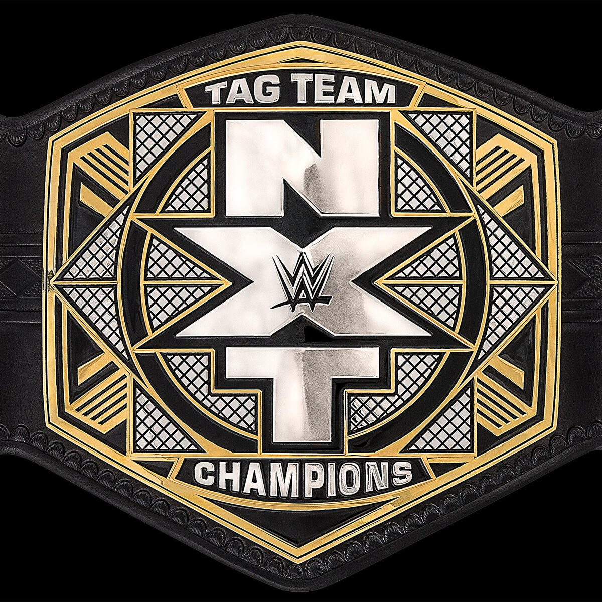 نظرة عن قرب على WWE NXT Tag Team Champion الجديد 002_TITLE_03172017gd_0412_Fin_cs_FLATe--9f6eb4f54e85fffbfeaf7b018875953d
