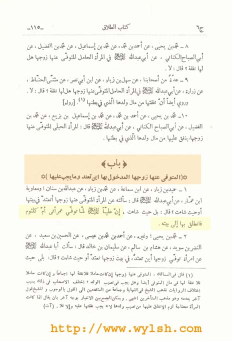 حملة تثقيف الشيعة معلومات لا يعرفها الكثير من الشيعة صفحة 5