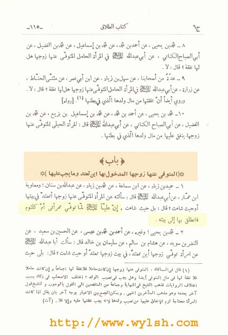 حملة تثقيف الشيعة معلومات لا يعرفها الكثير من الشيعة - صفحة 5 Wylsh%2049