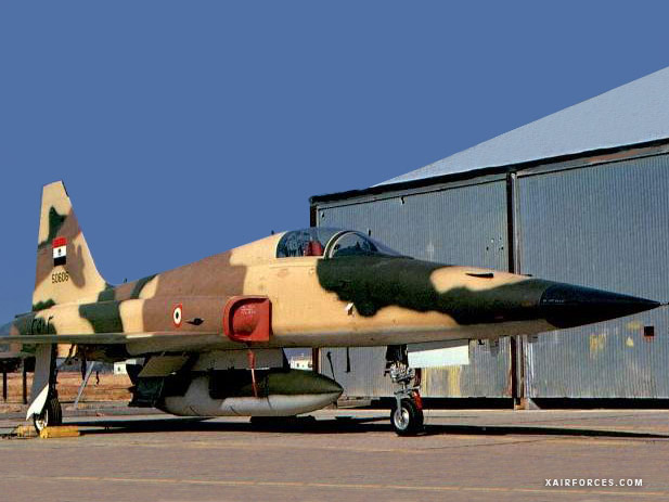 مانوع الطائرة و من الدولة التي تملكها  ؟ F-5E-Yemen-AF_75066