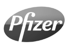 XFlip Professional 2.0.1 Pfizer