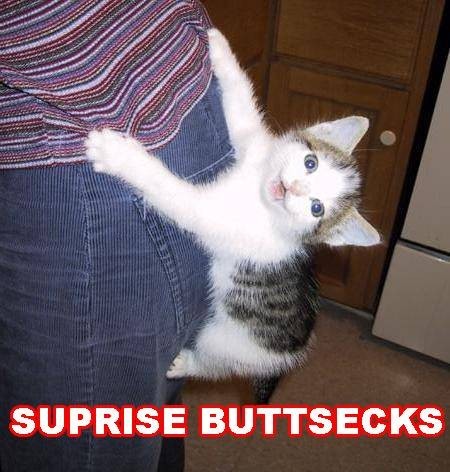 The picture association game (56K Beware!) - Seite 11 Surprise-buttsecks