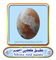 عقيق يماني 1 Moss-agate-04