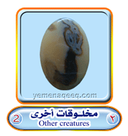 عقيق يماني 1 Other-creatures-02