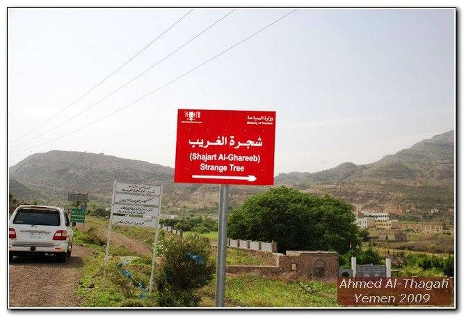 رحلتي إلى اليمن السعيد - منقول Upload_3mla8thag38